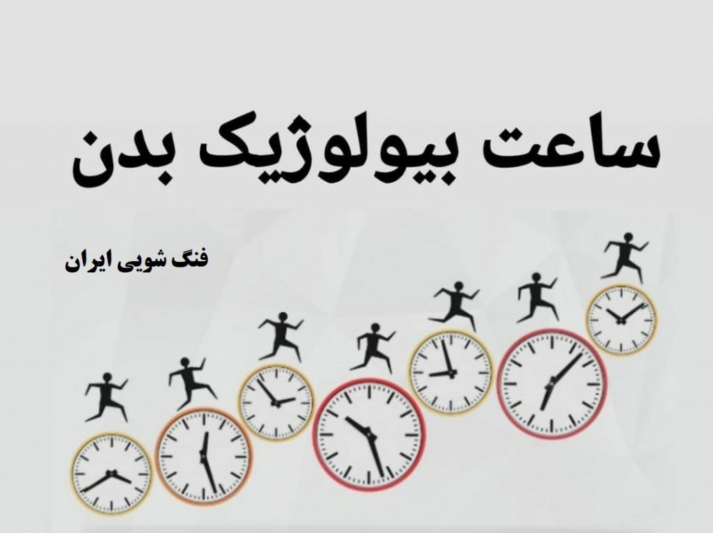ساعت بدن | فنگ شویی ایران 